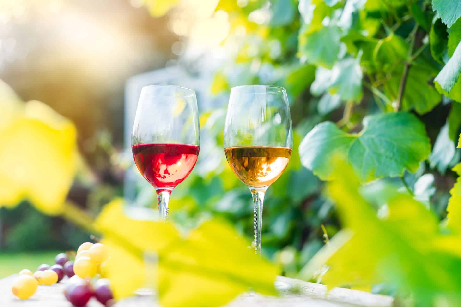 Arizona Wine Country: 11 Wine Facts You Should Know Before You Go