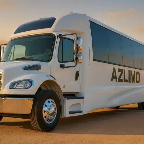 40 PAX Executive Coach