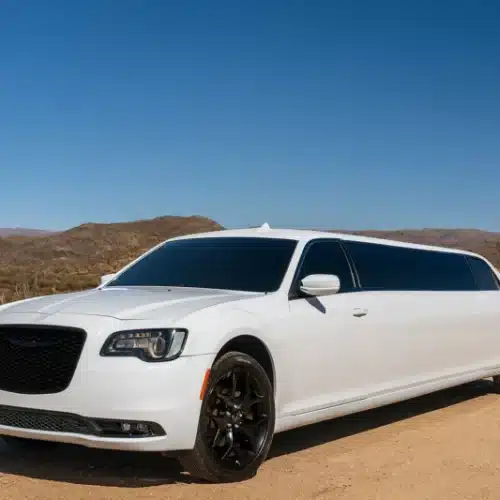 Chrysler 300 White